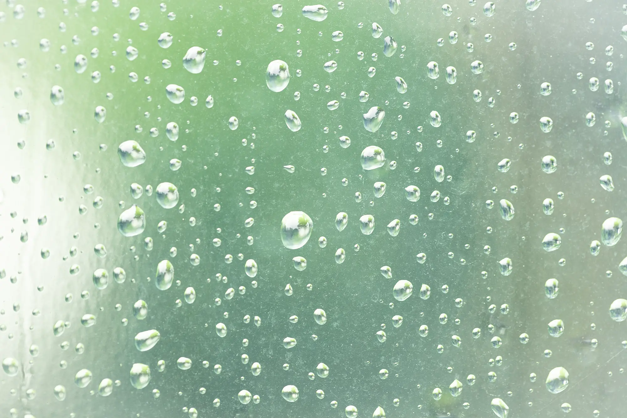 雨の季節