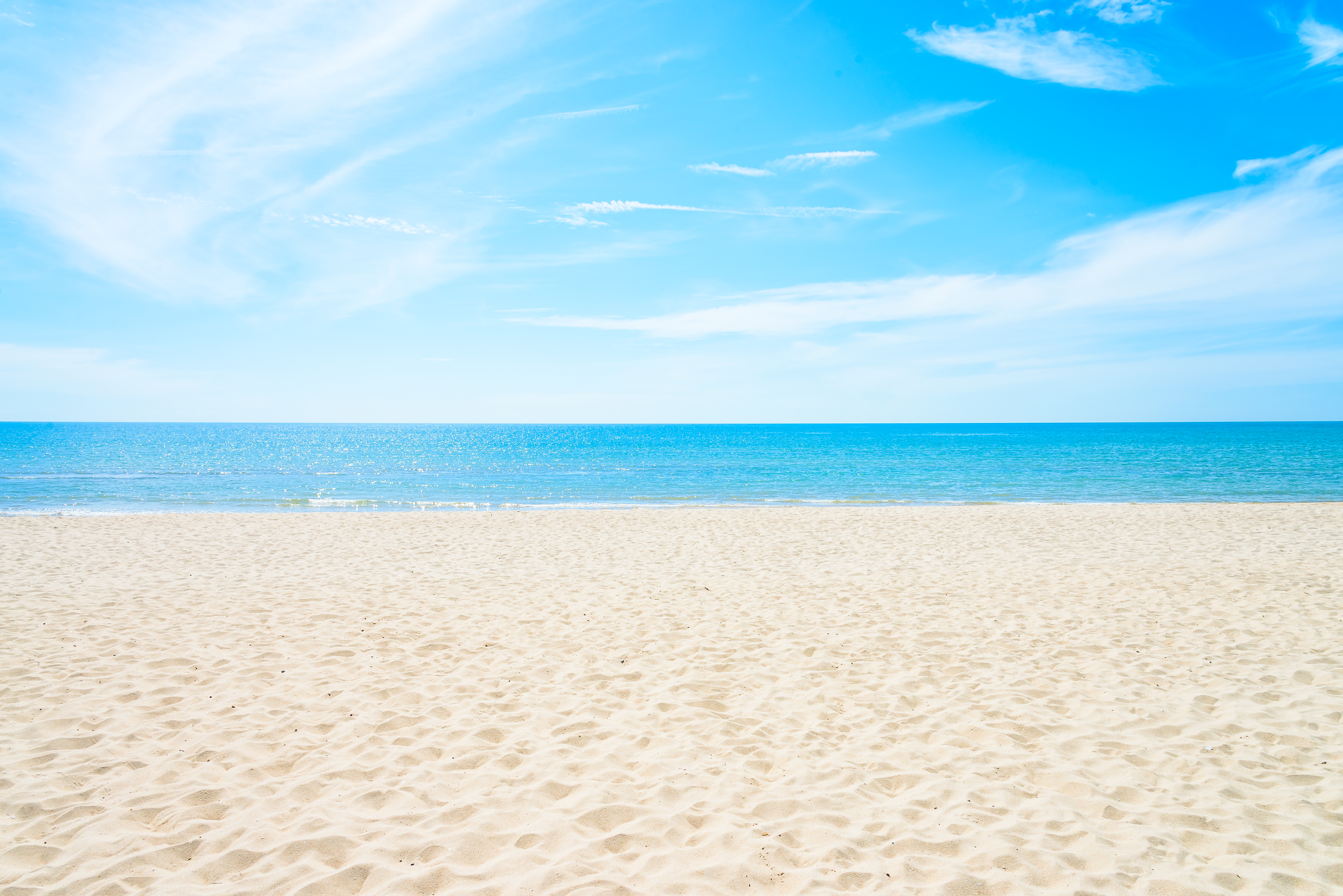 特別な夏