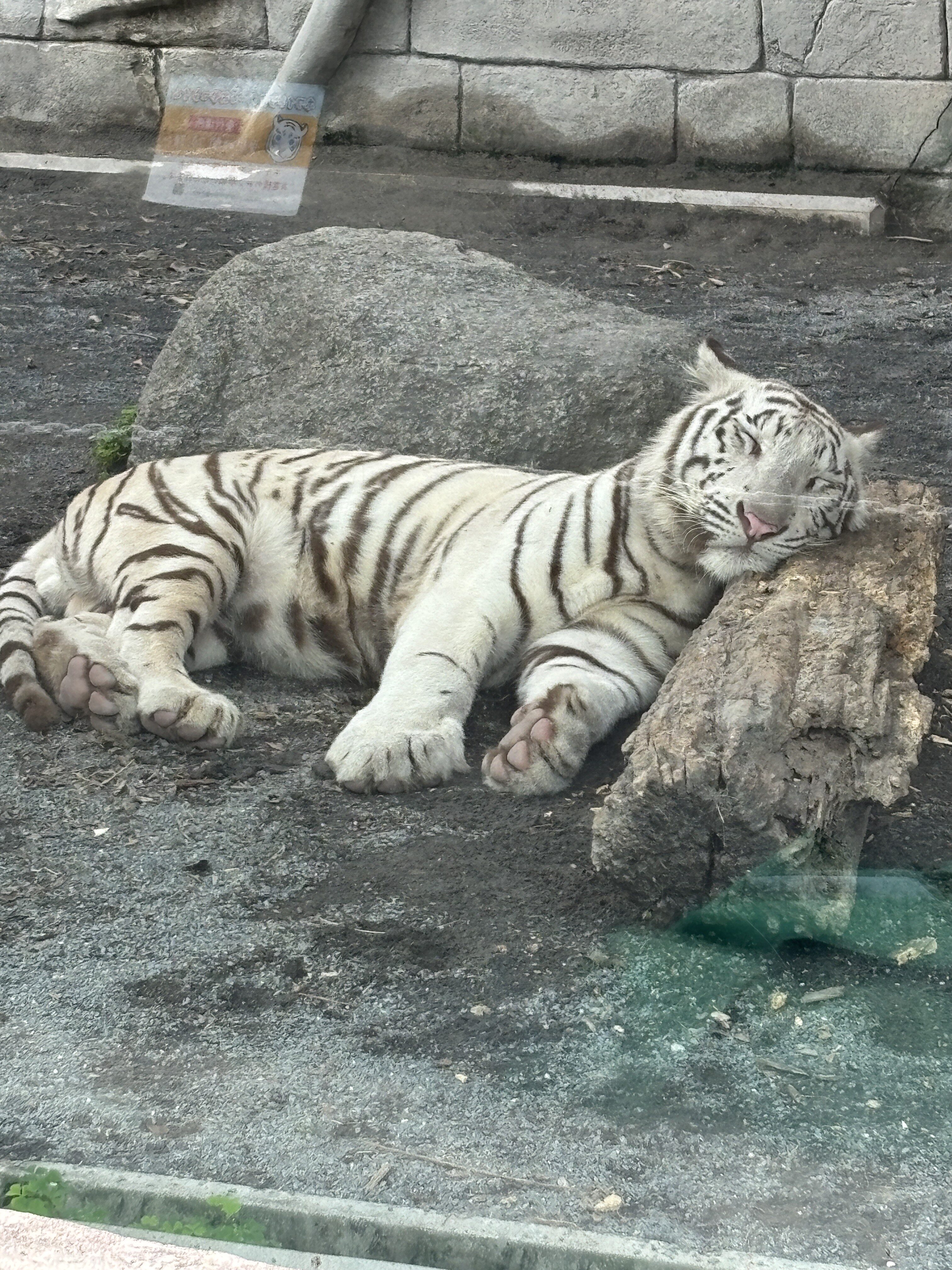 【おさらい】夏目ハルとは・・・