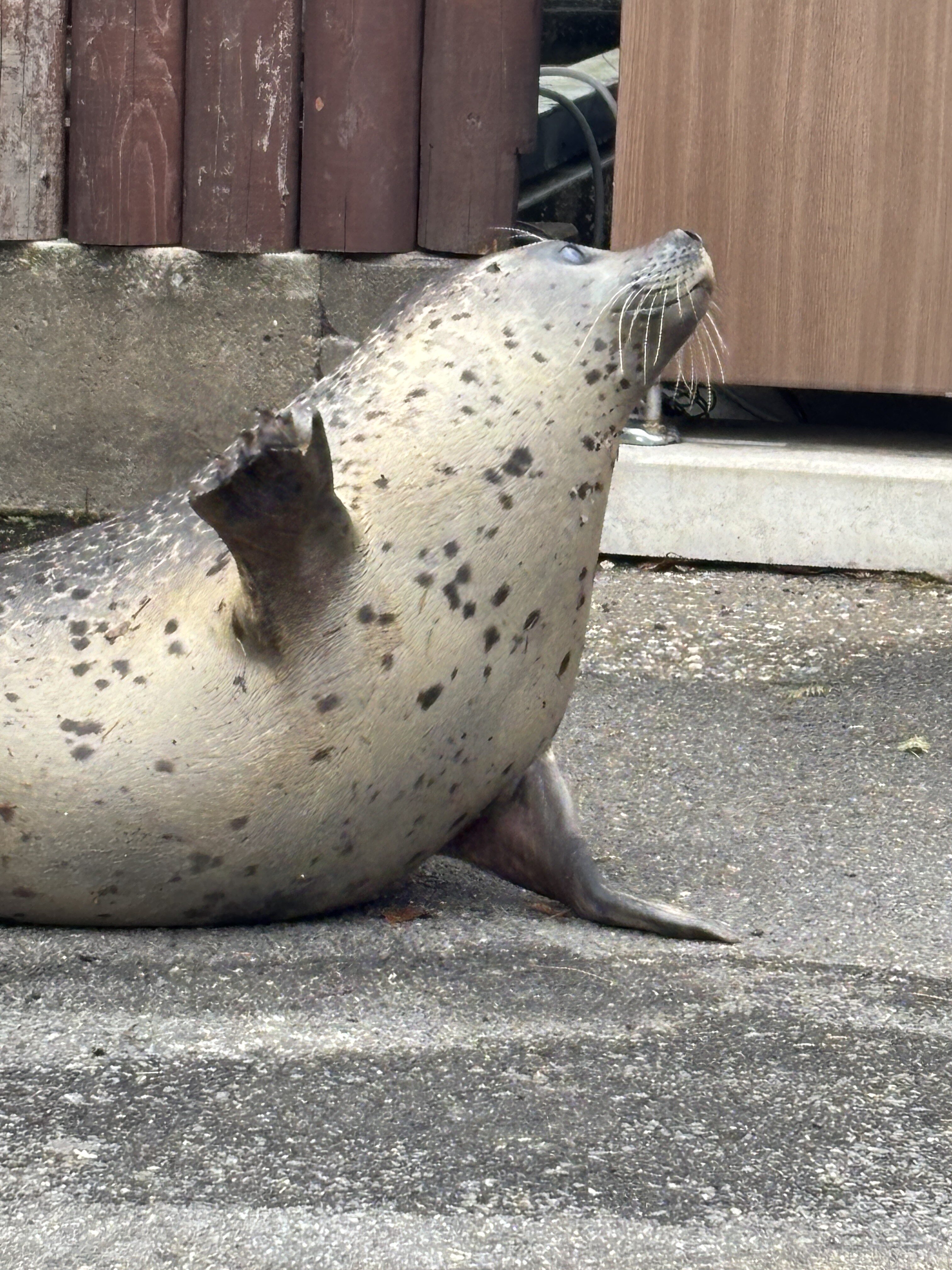 僕が大切にしていること
