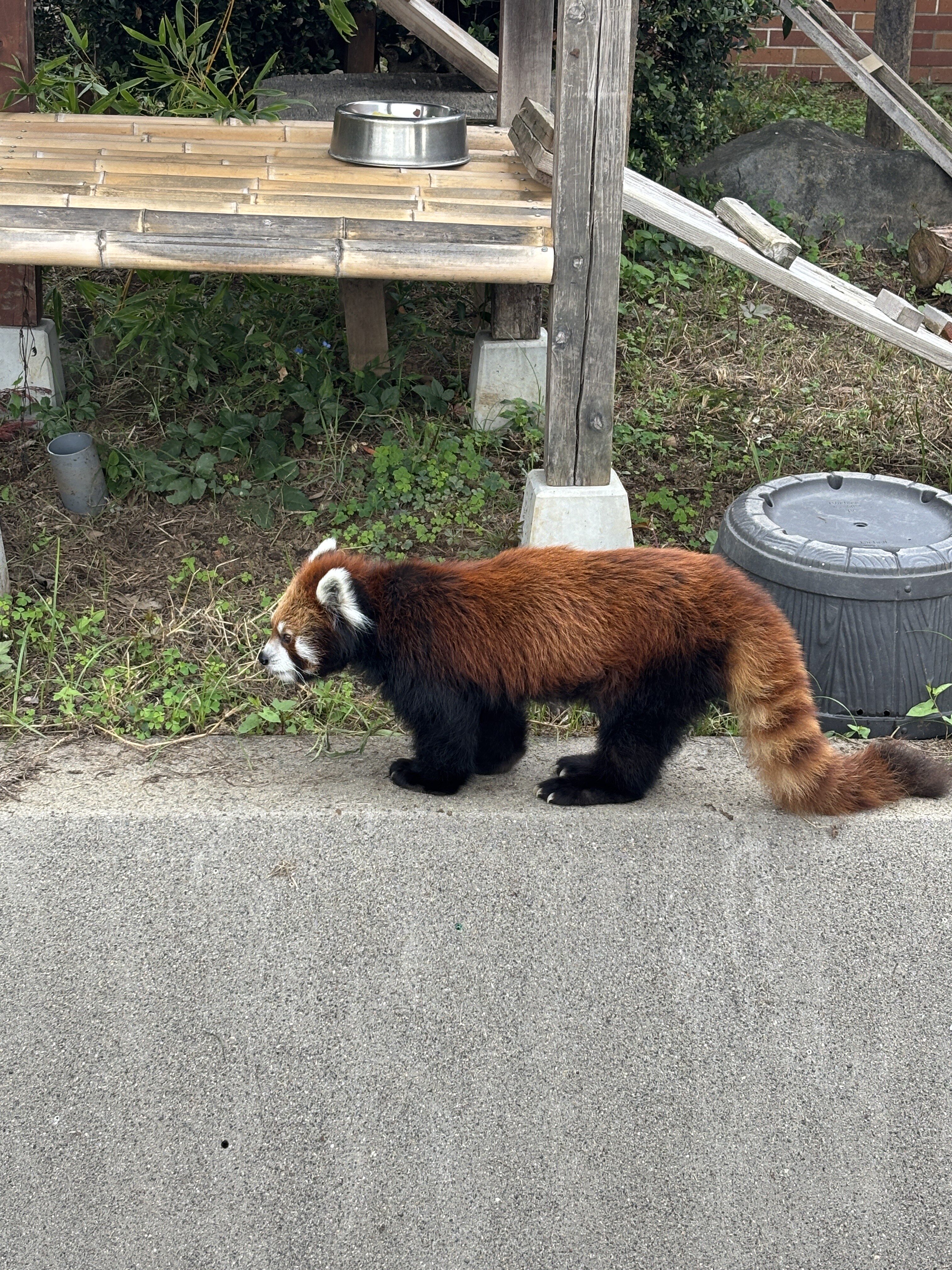 優しさは、弱さじゃない