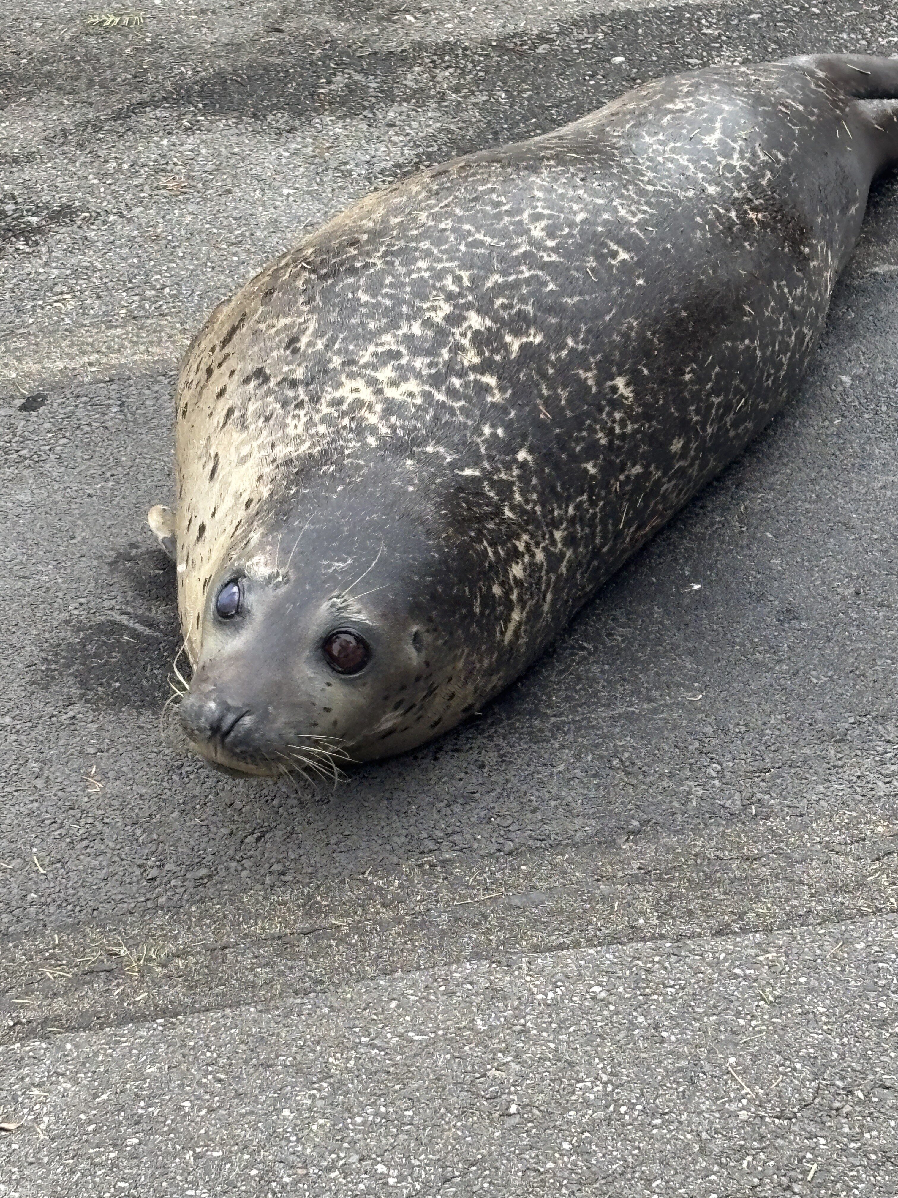 SNSより、会話の中の笑顔