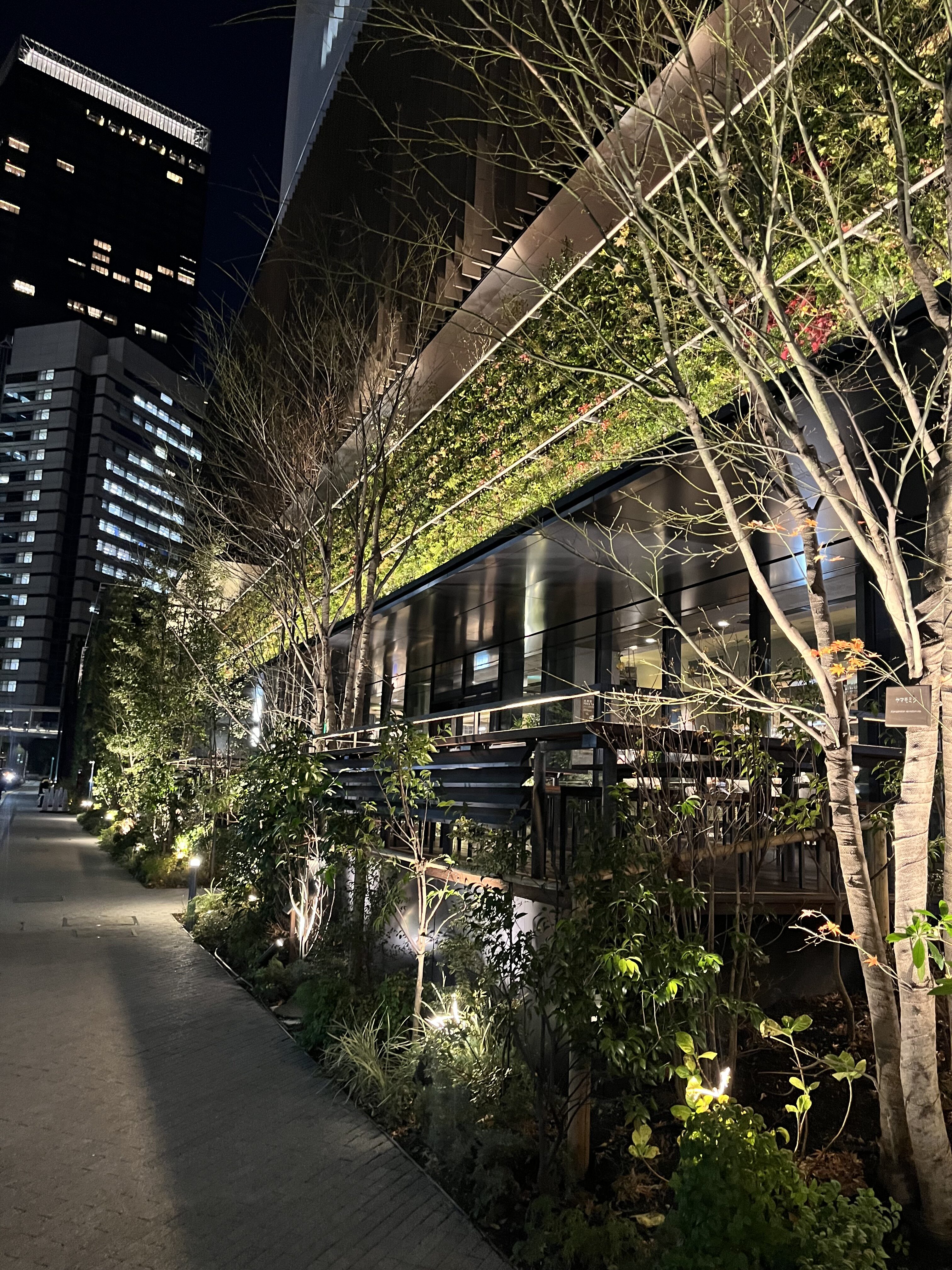 触れる前に、もう始まっていること