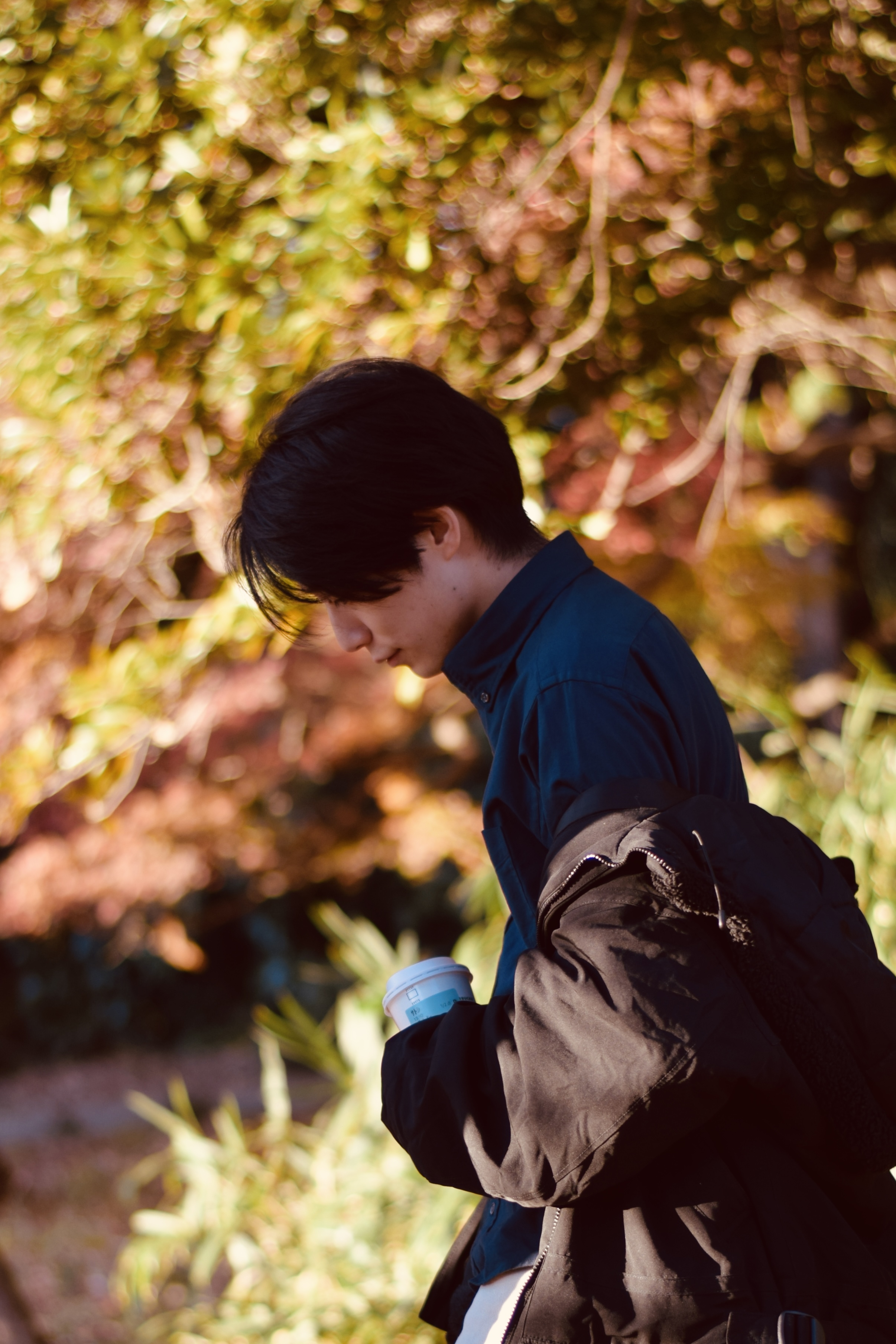 トロイメロイ。