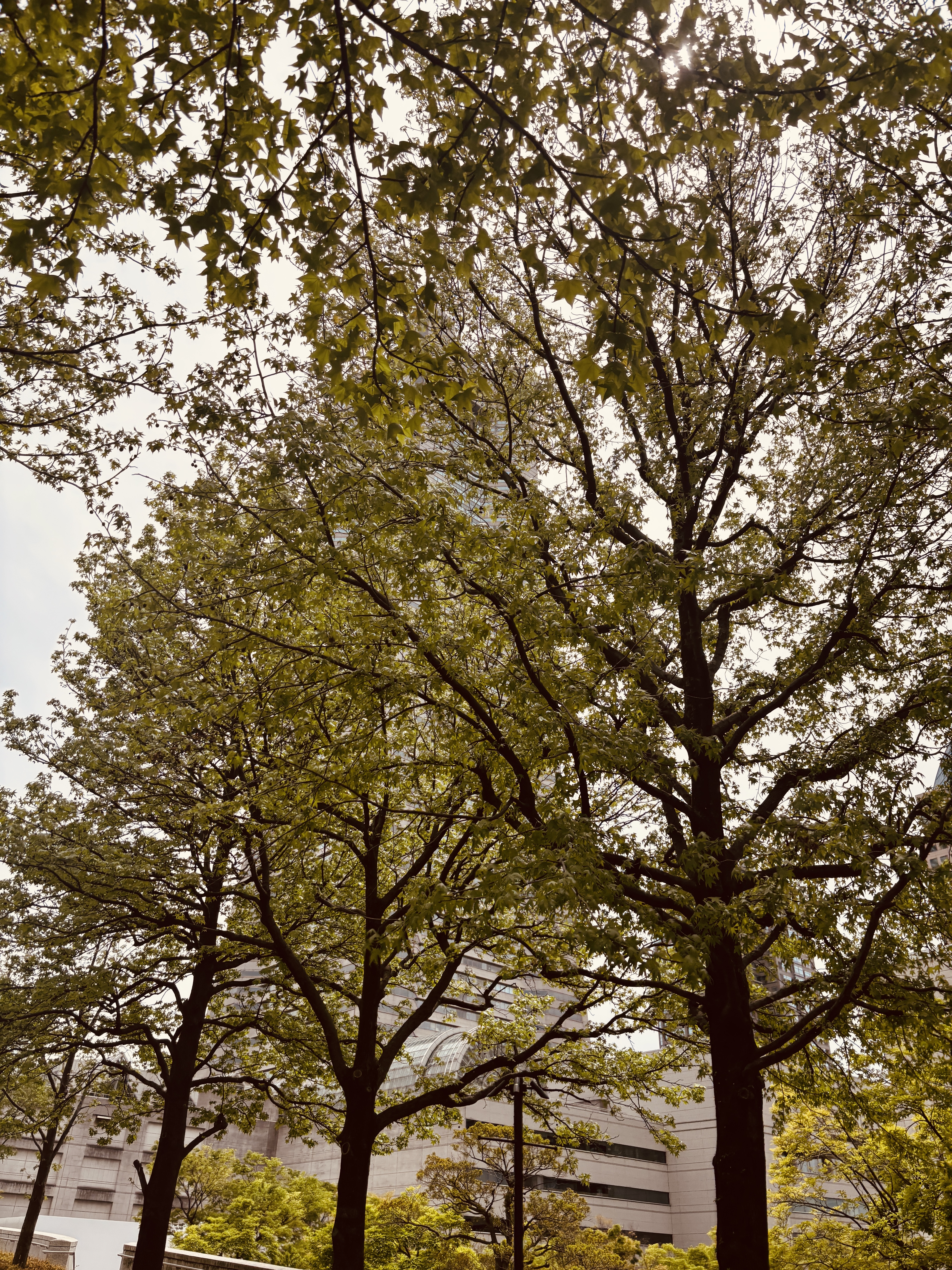 言葉がなくても満たされる時間