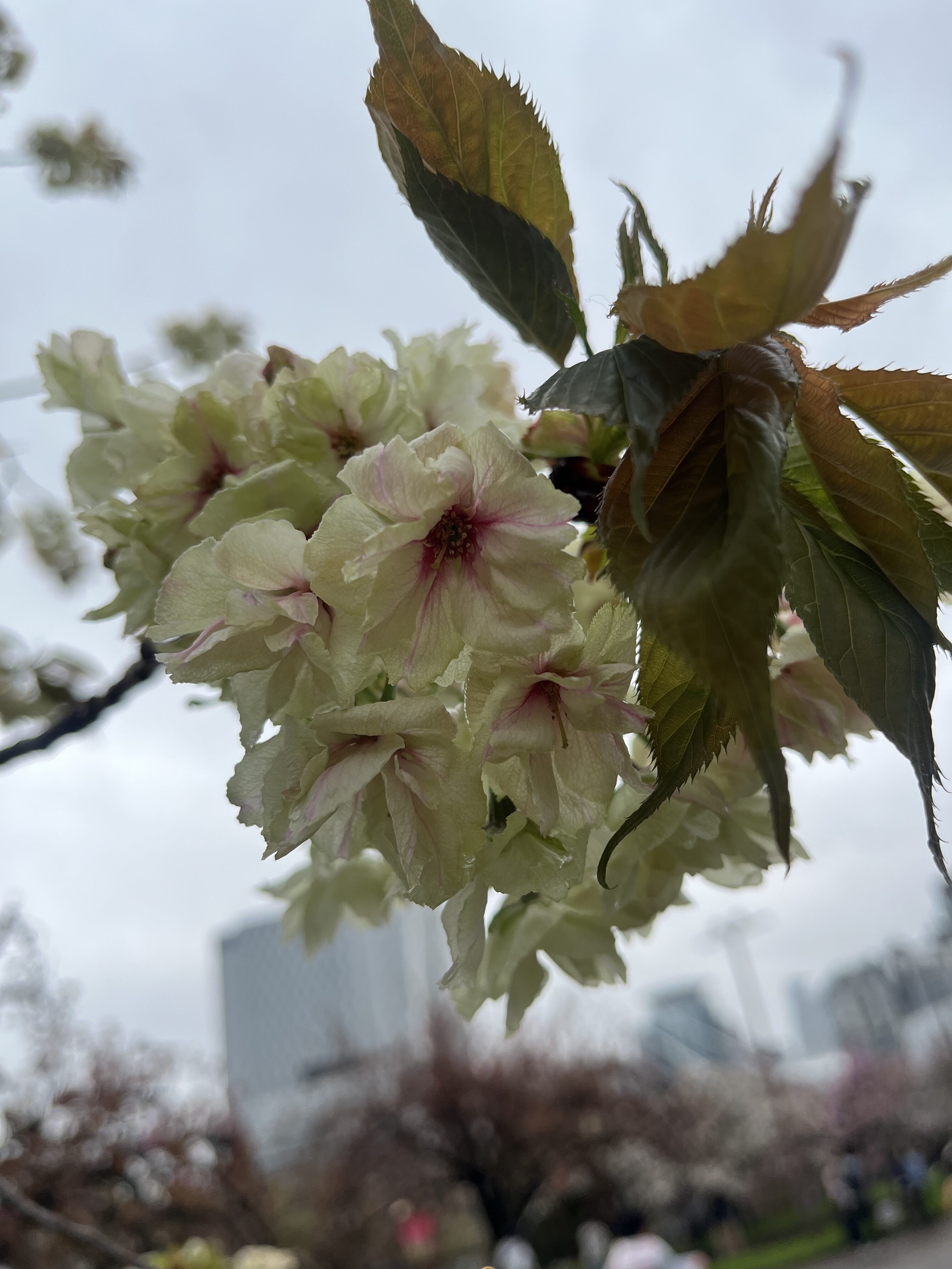 いつもと違う景色の中で、感じたぬくもり