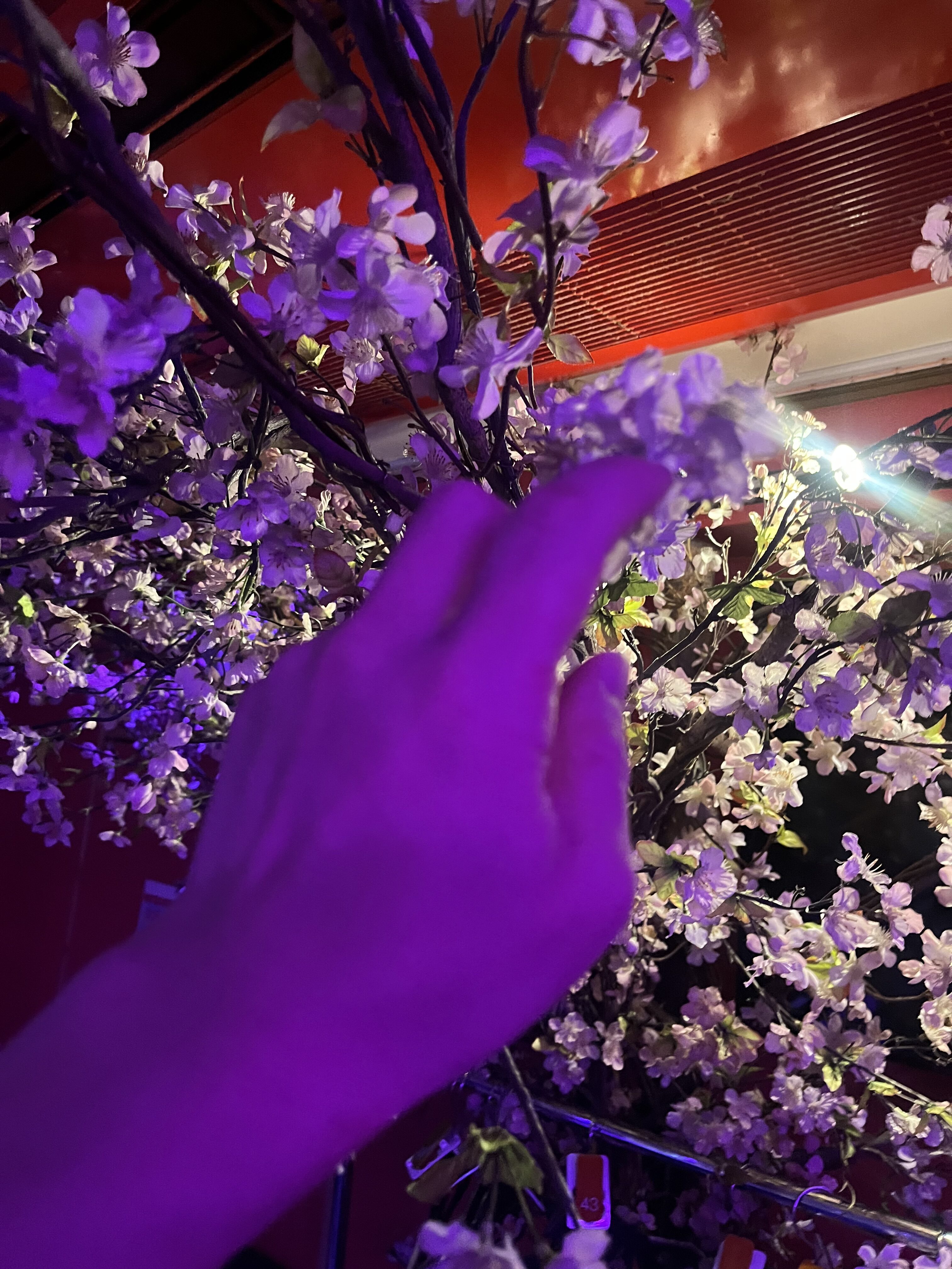 一生で何度出会えるだろう