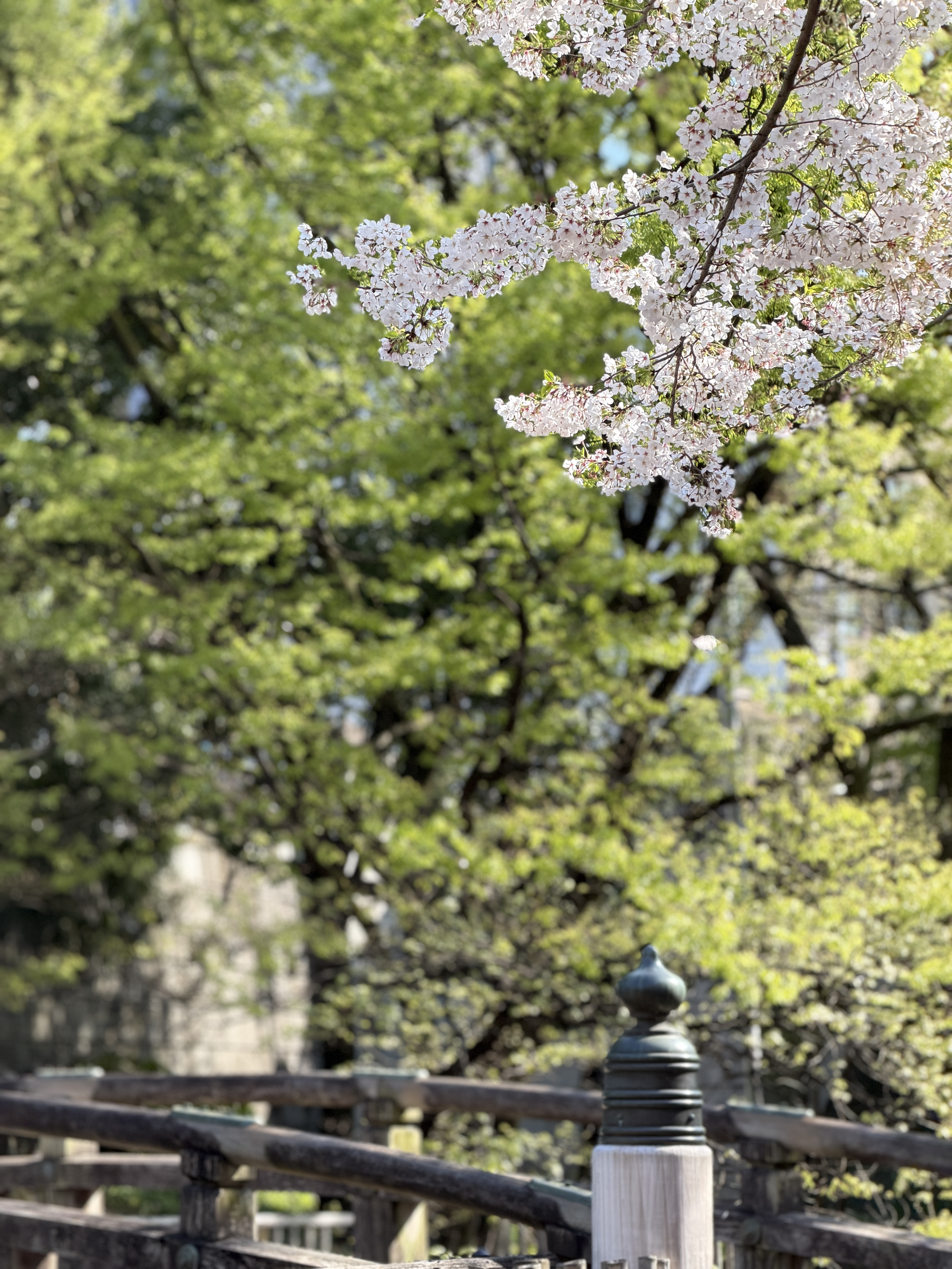 やる事やってる？？