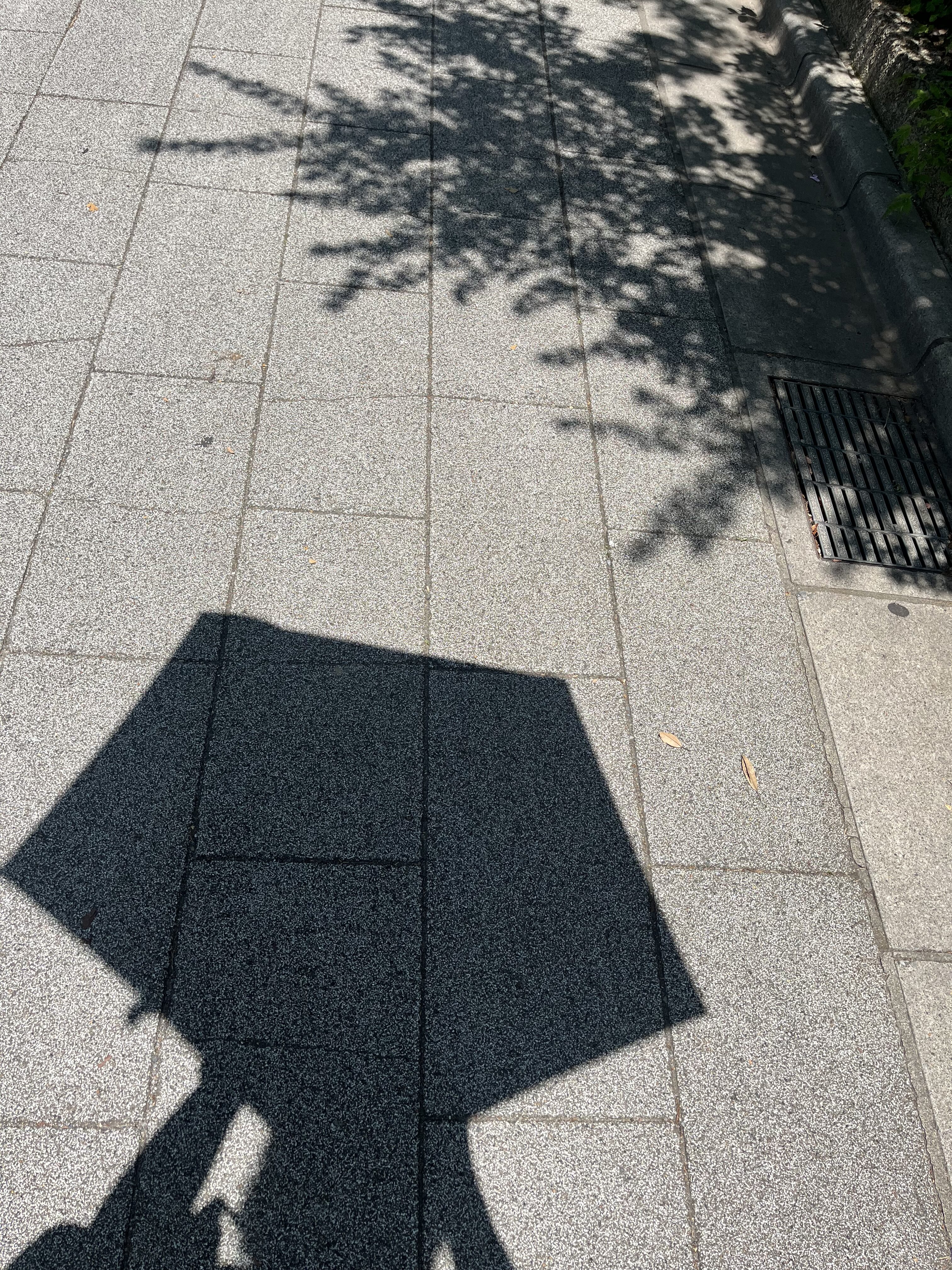 晴れの日の、小さな秘密基地
