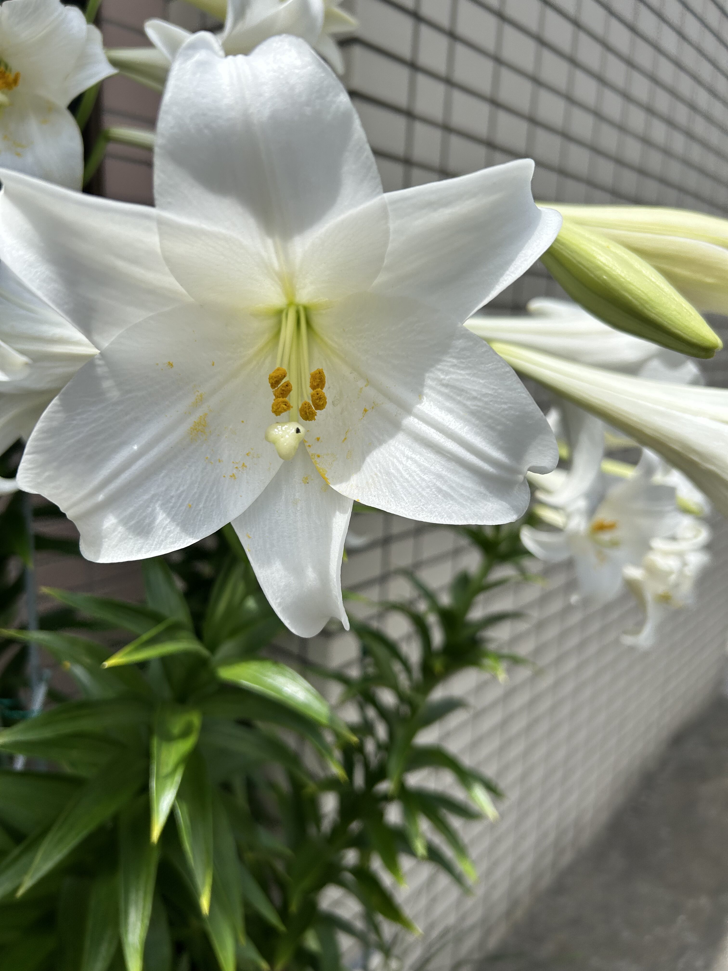 幸せアピールするぐらいには不幸せ