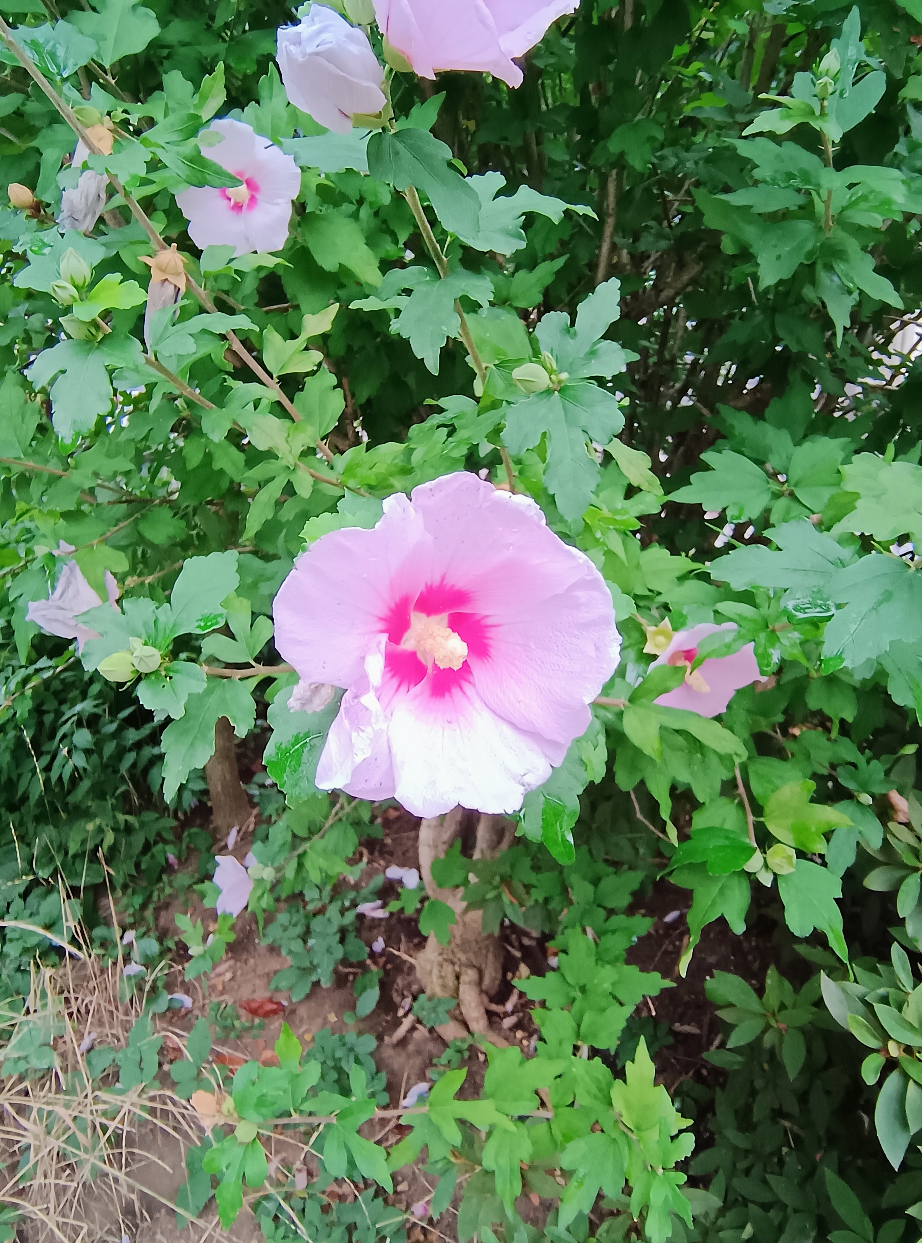 会う前が一番緊張する？