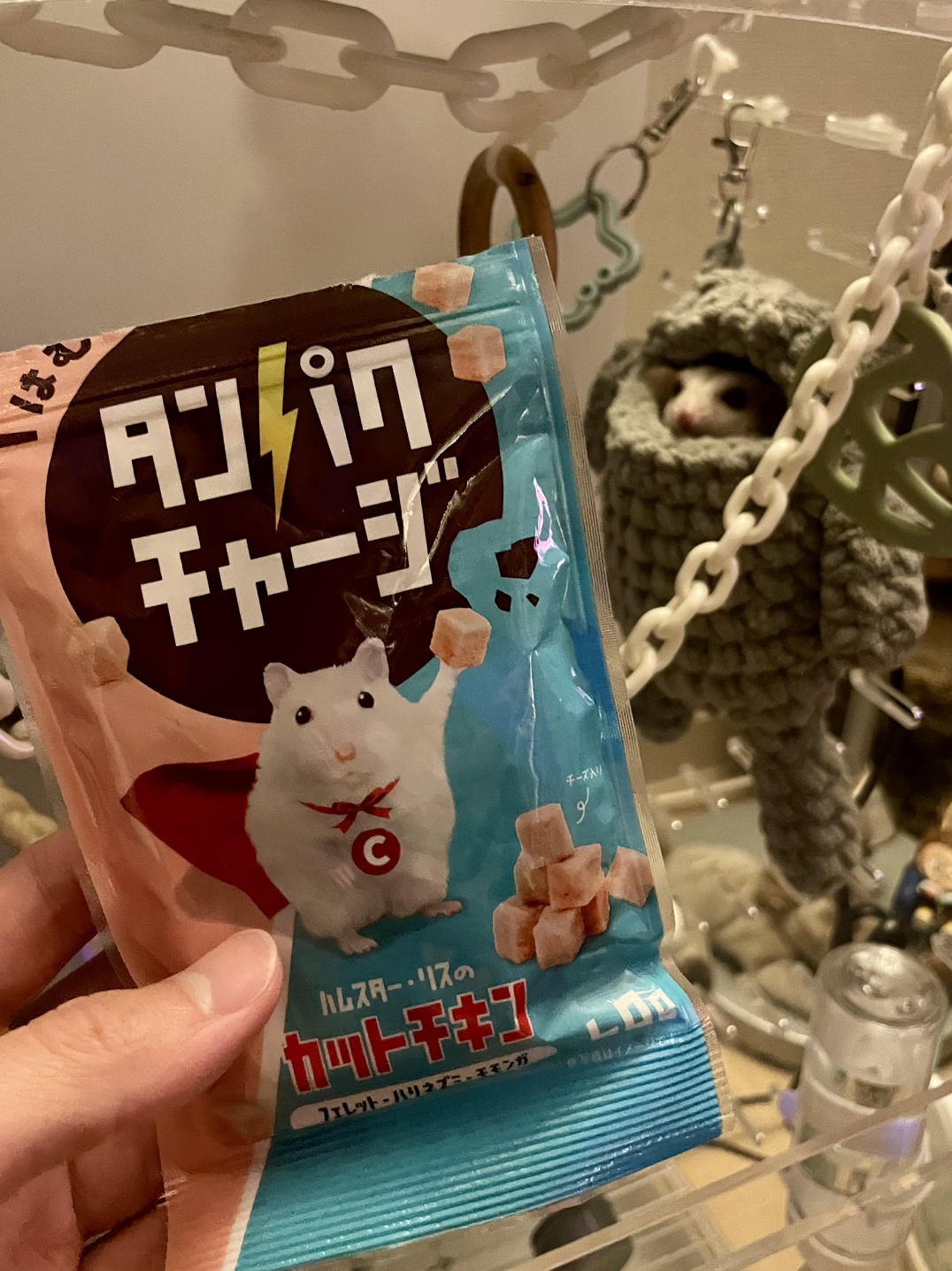 【再掲】モモンガ②
